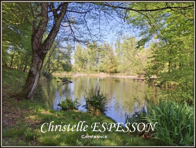 Photos 1 - Prestige - MAGNIFIQUE DOMAINE AVEC UN PARC DE 14000 M2 A BEAUPUY (47)