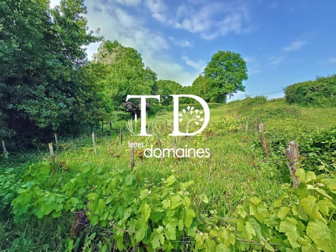 Photos 29 - Touristique - Maison à vendre Neuvy-Deux-Clochers