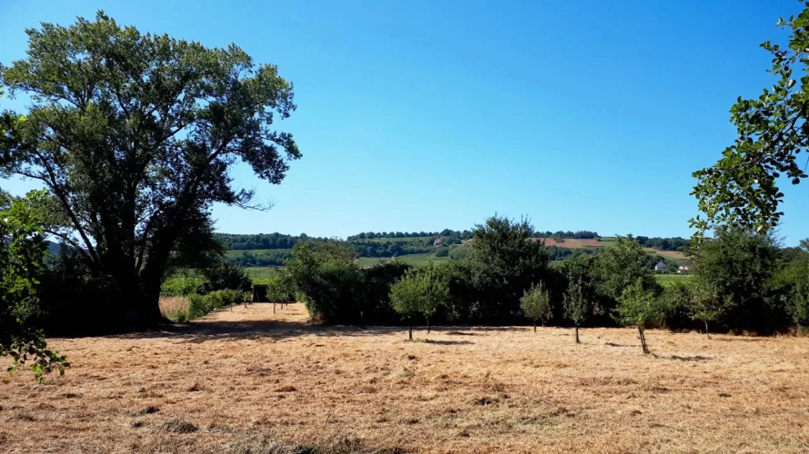 Photos 15 - Touristique - Maison et 2 gites en Côte Chalonnaise - proche Mercurey