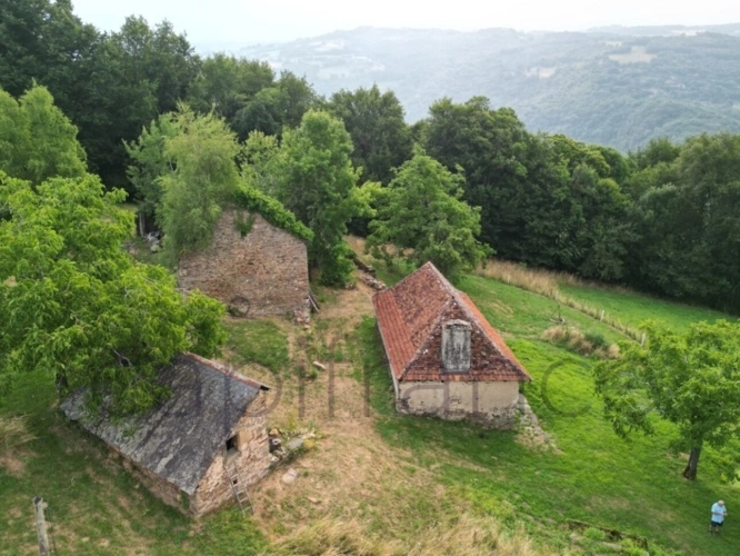 Photos 1 - Touristique - Ensemble de Propriété entouré par 4 hectares secteur Beaulieu-sur-Dordogne