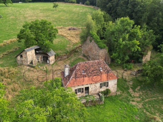Photos 2 - Touristique - Ensemble de Propriété entouré par 4 hectares secteur Beaulieu-sur-Dordogne