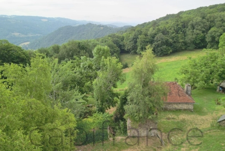 Photos 3 - Touristique - Ensemble de Propriété entouré par 4 hectares secteur Beaulieu-sur-Dordogne