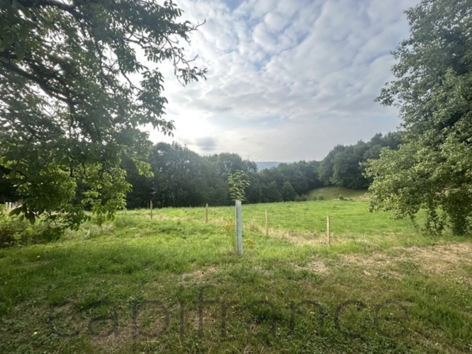 Photos 4 - Touristique - Ensemble de Propriété entouré par 4 hectares secteur Beaulieu-sur-Dordogne