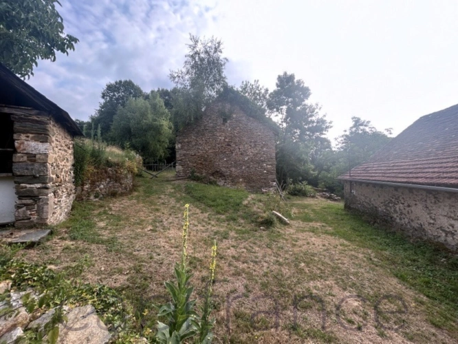 Photos 5 - Touristique - Ensemble de Propriété entouré par 4 hectares secteur Beaulieu-sur-Dordogne
