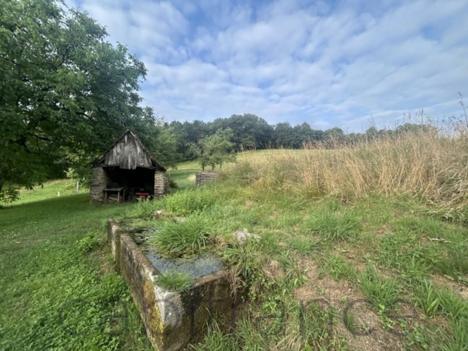 Photos 6 - Touristique - Ensemble de Propriété entouré par 4 hectares secteur Beaulieu-sur-Dordogne