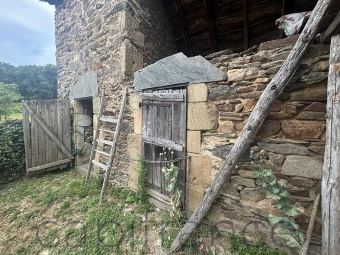 Photos 7 - Touristique - Ensemble de Propriété entouré par 4 hectares secteur Beaulieu-sur-Dordogne