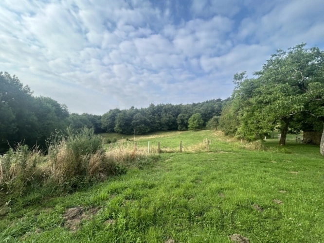 Photos 8 - Touristique - Ensemble de Propriété entouré par 4 hectares secteur Beaulieu-sur-Dordogne