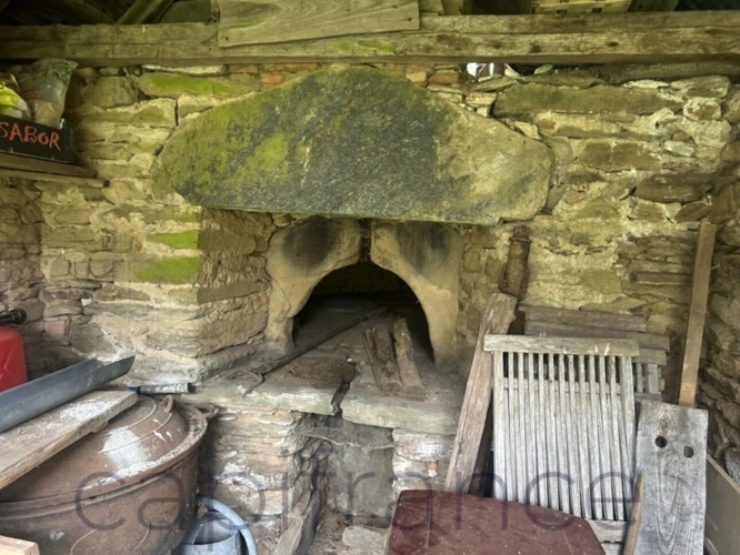 Photos 10 - Touristique - Ensemble de Propriété entouré par 4 hectares secteur Beaulieu-sur-Dordogne