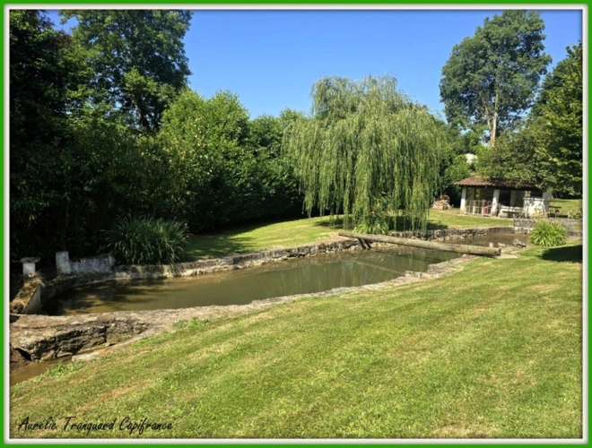 Photos 5 - Prestige - Propriété d'exception à vendre 7 pièces BRIZAMBOURG (17) avec vie de plain-pied, terrain de tennis, piscine- TERRAIN DE + 14300m² AVEC ETANG