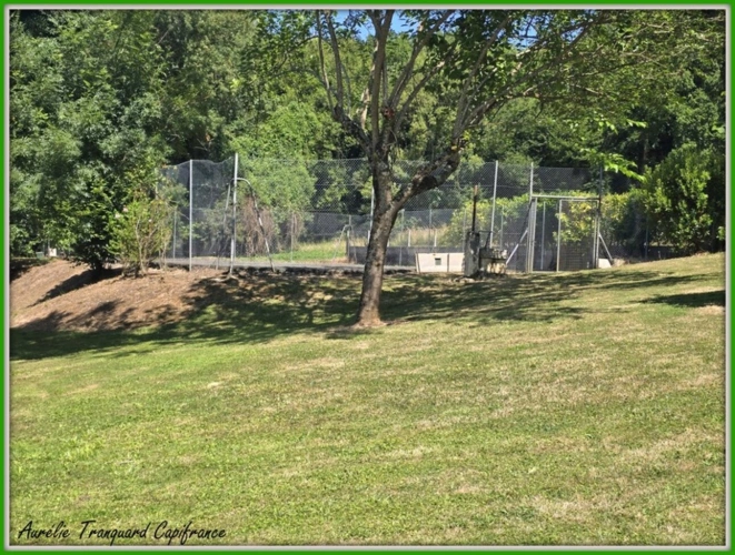 Photos 6 - Prestige - Propriété d'exception à vendre 7 pièces BRIZAMBOURG (17) avec vie de plain-pied, terrain de tennis, piscine- TERRAIN DE + 14300m² AVEC ETANG