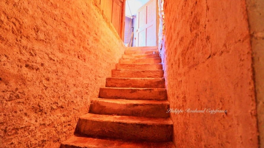 Photos 7 - Prestige - Château du XVIIᵉ siècle à vendre, 17 pièces, FOUSSAIS PAYRE (85)