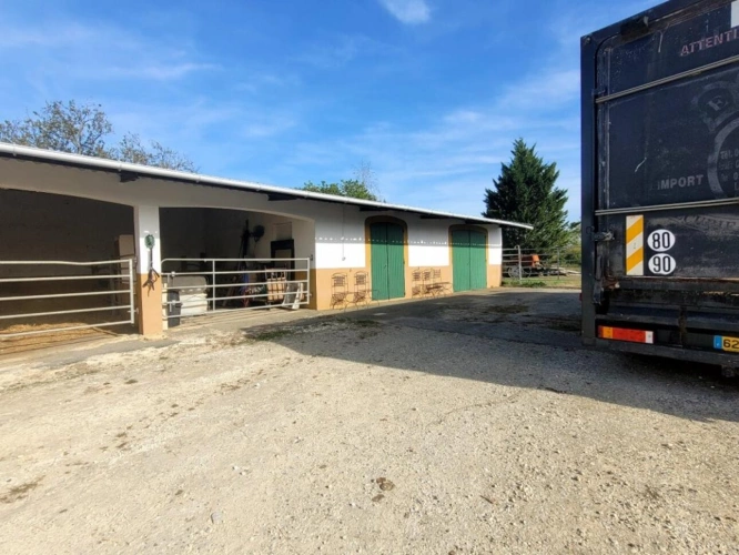 Photos 3 - Équestre - Haras / Equestre