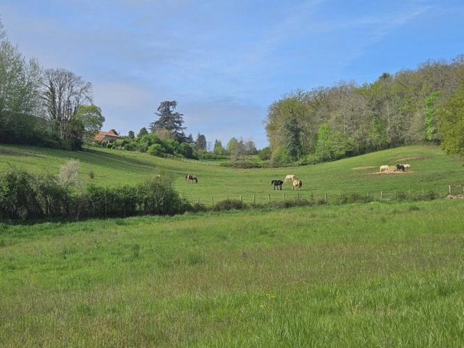 Photos 4 - Équestre - Haras / Equestre