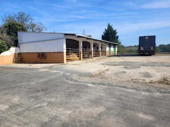 Photos 10 - Équestre - Haras / Equestre