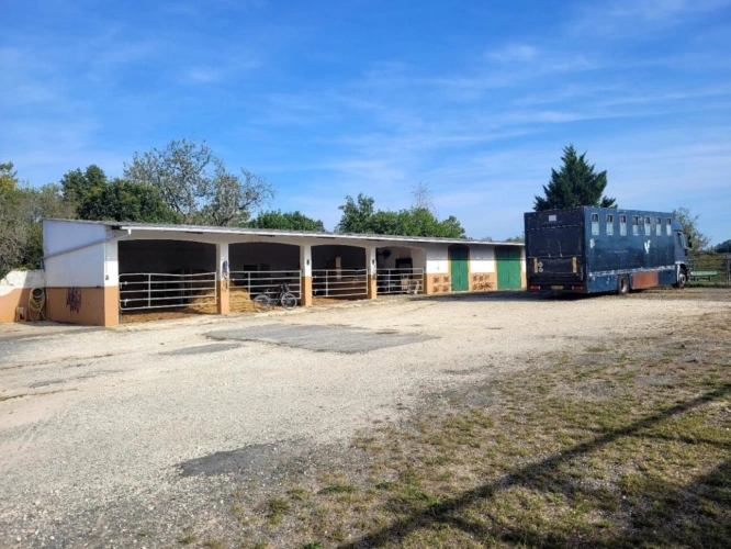 Photos 11 - Équestre - Haras / Equestre