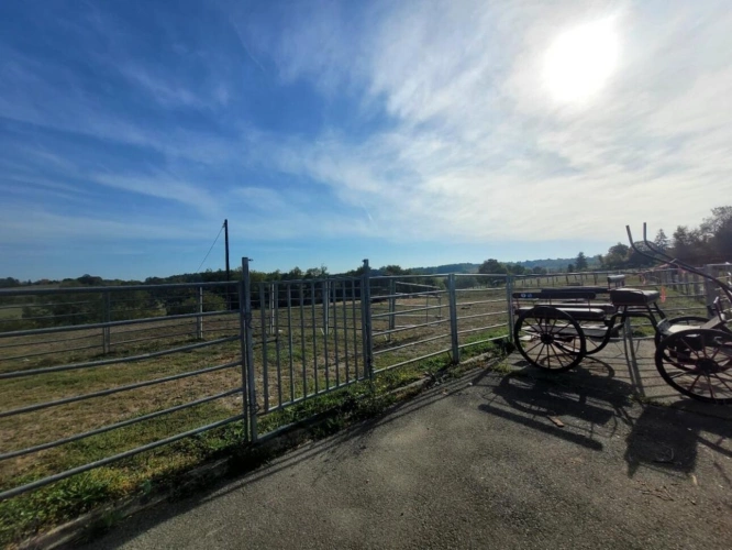 Photos 12 - Équestre - Haras / Equestre
