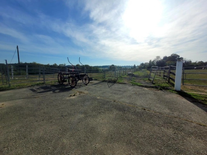 Photos 13 - Équestre - Haras / Equestre