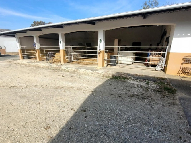 Photos 14 - Équestre - Haras / Equestre