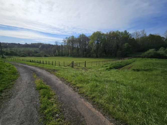 Photos 17 - Équestre - Haras / Equestre