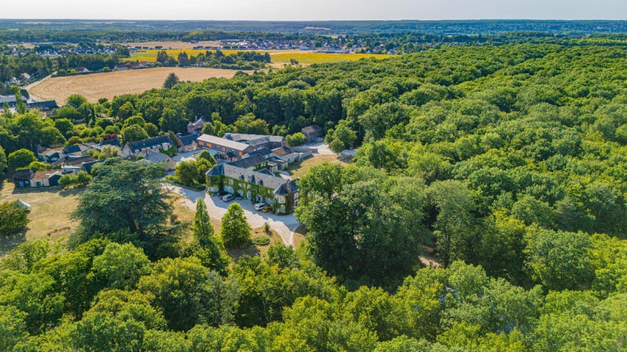 Photos 9 - Forestière - Futaie de Chêne sessile de 43 ha aux portes de Blois