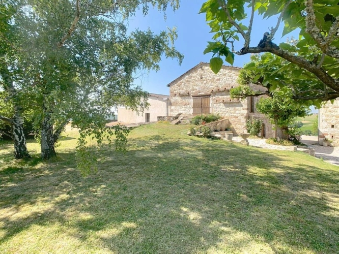 Photos 13 - Agricultural - Property