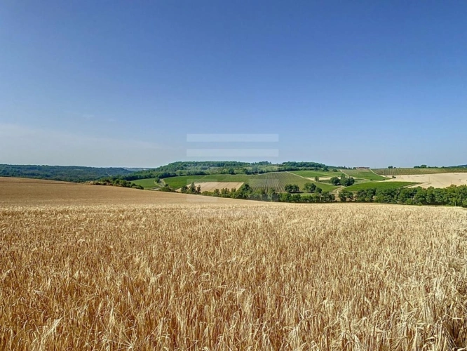 Photos 20 - Agricultural - Property