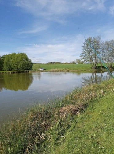 Photos 11 - Forestière - Dpt (88), à vendre DOMAINE / PROPRIETE de + 27 Ha avec RESTAURANT, 3 ETANGS et FORET