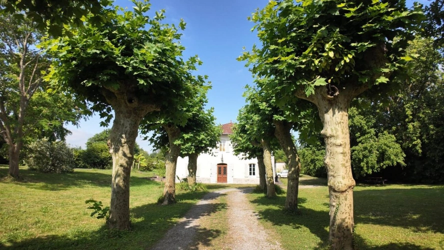 Photos 11 - Prestigious - Character property