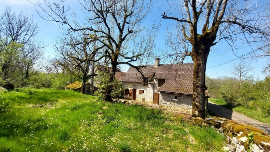 Photos 1 - Tourist - House