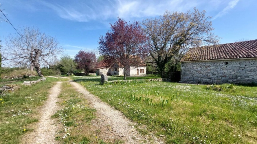 Photos 2 - Tourist - House