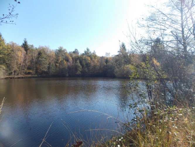 Photos 2 - Land - Pond