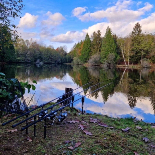 Photos 3 - Land - Pond