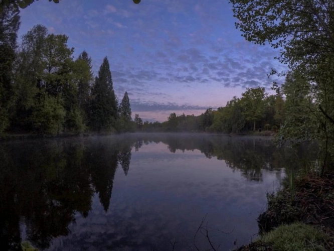 Photos 4 - Land - Pond