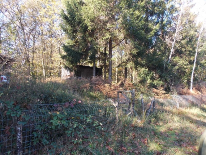 Photos 8 - Land - Pond