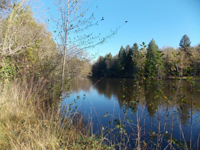 Photos 9 - Land - Pond