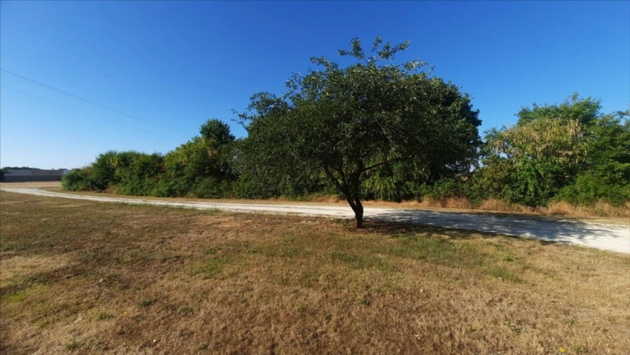 Photos 17 - Touristique - EXCLUSIF VINEUIL proche CHATEAUROUX