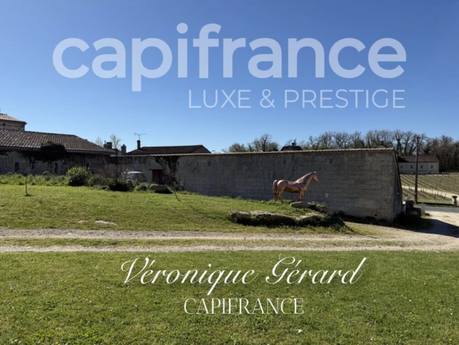 Photos 34 - Prestige - À Saint Christophe des Bardes. Propriété d’exception de plus de 310 M2 sur 4858 M2 de Terrain