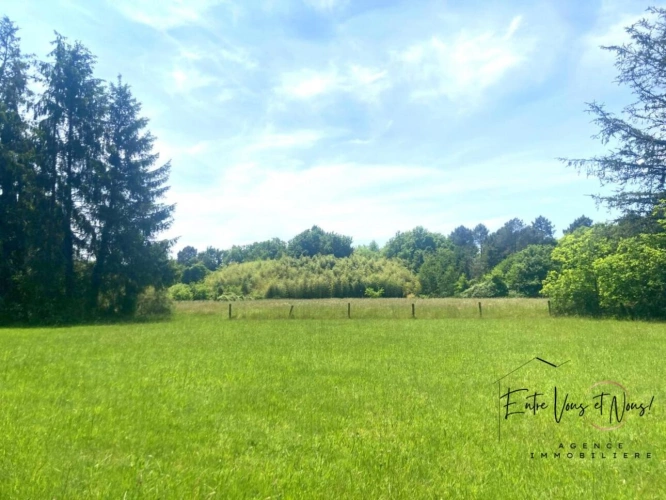 Photos 4 - Équestre - PROPRIÉTÉ A VOCATION EQUESTRE 257M2, 2 SÉCHOIRS, SUR 7,5HA