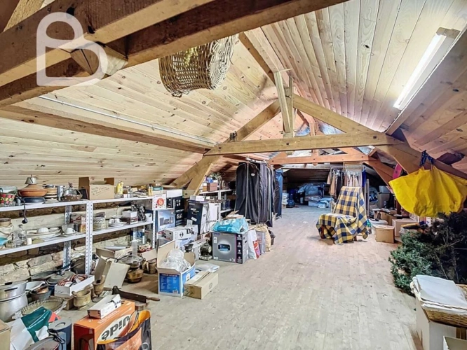 Photos 22 - Équestre - Maison de campagne avec piscine, gîte et grange sur 5 ha