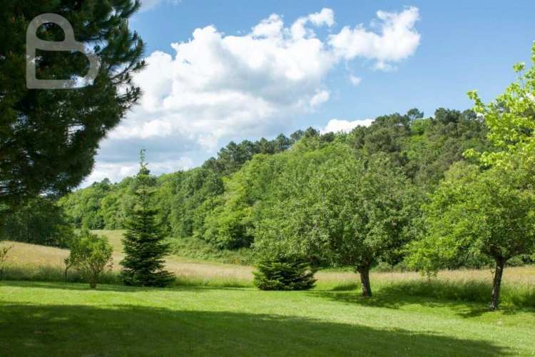 Photos 30 - Équestre - Maison de campagne avec piscine, gîte et grange sur 5 ha