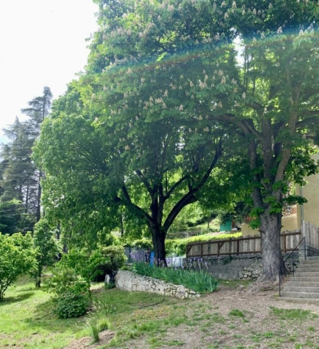 Photos 7 - Prestige - Maison de maître d'une surface d'environ 204 m2 sur un terra
