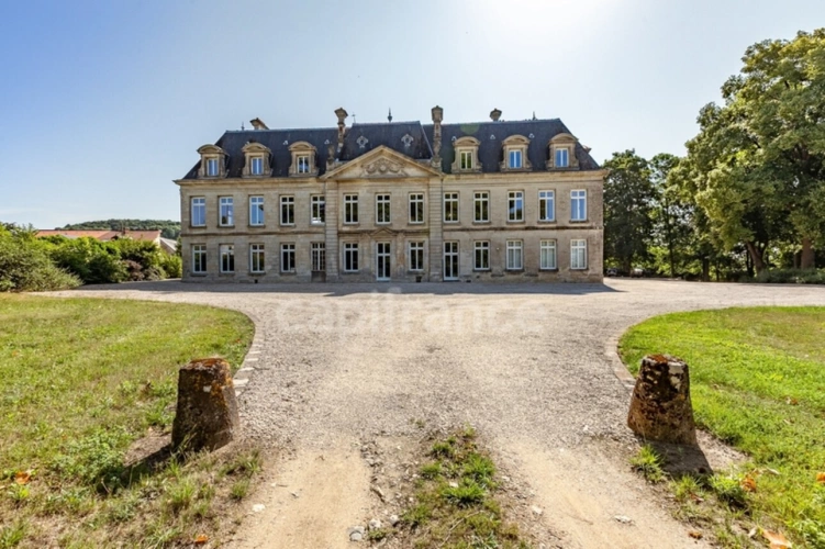 Photos 7 - Prestige - Château XVIIIème siècle à vendre Soissons (02)