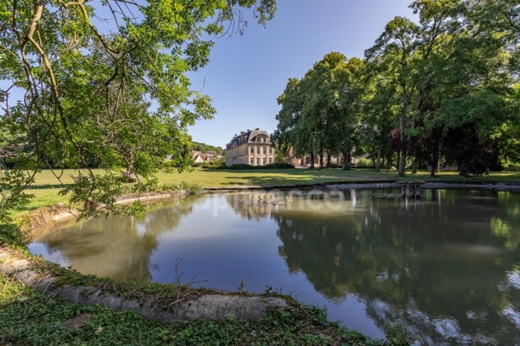 Photos 29 - Prestige - Château XVIIIème siècle à vendre Soissons (02)