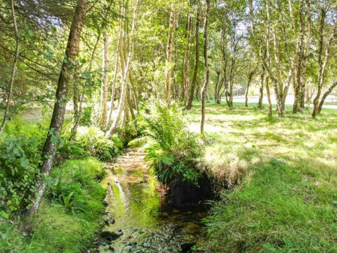 Photos 21 - Prestige - Propriété d’Exception au Cœur de la Montagne Noire — Un Écrin de Nature entre Carcassonne et Mazamet