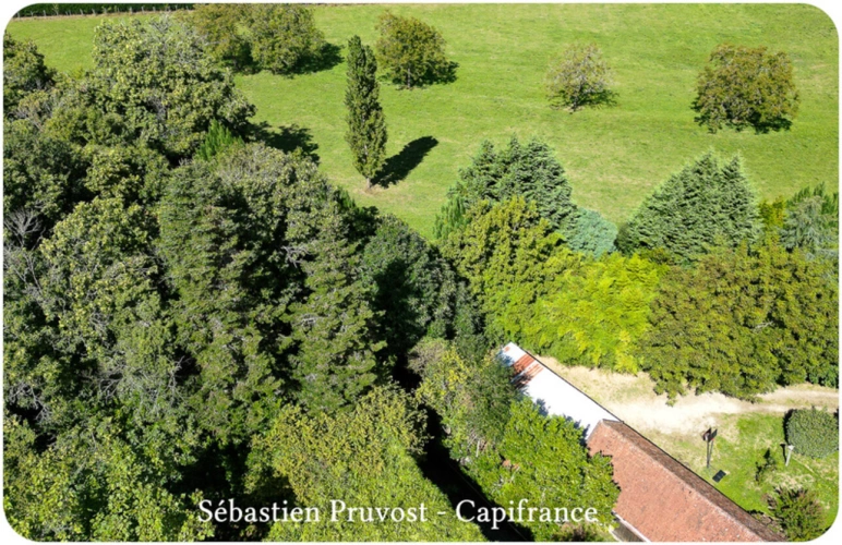 Photos 5 - Prestige - Dpt Dordogne (24), à vendre 11 pièces SARRAZAC (24) propriété P11 325M2, terrain 22200m2, dépendance, piscine