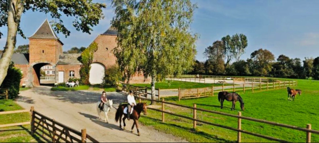 Photos 7 - Equestrian - Gîtes et installations équestres