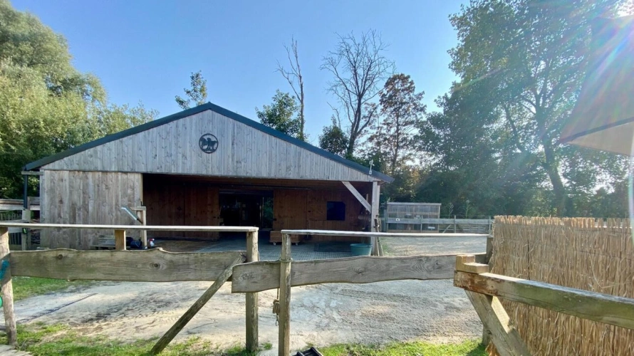 Photos 6 - Équestre - Maison et  barns pour chevaux