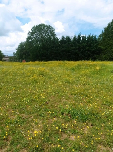 Photos 4 - Équestre - Propriété équestre 200m2, 1,2 ha  45 minutes Fontainebleau