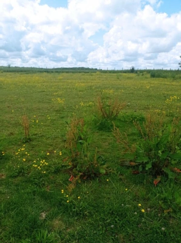 Photos 5 - Équestre - Propriété équestre 200m2, 1,2 ha  45 minutes Fontainebleau