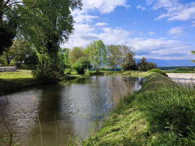 Photos 4 - Équestre - Maison familiale 20 min Genève